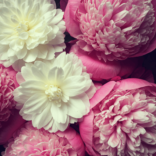 Floral